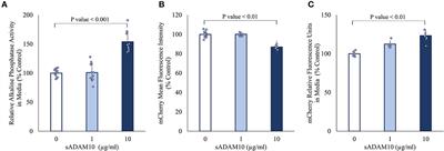 Shifting the balance: soluble ADAM10 as a potential treatment for Alzheimer's disease